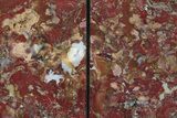 Tall, Red and Yellow Jasper Bookends - Marston Ranch, Oregon #231788-2